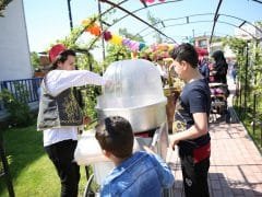 Pamuk Şekerci Kiralama İzmir