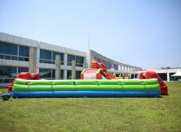 Şişme Canlı Langırt Kiralama