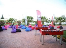 Masa Langırtı Kiralama