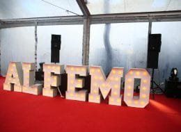 Ses Sistemi Temini İzmir