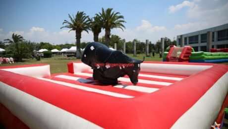 Şişme Rodeo Kiralama İzmir