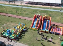 Kedili Kombo Zıpzıp