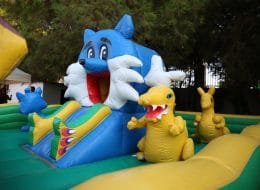 Şişme Kombo Zıpzıp Kiralama