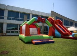 Papyonlu Zıpzıp Kiralama