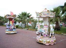 Atlı Karınca Kiralama İzmir