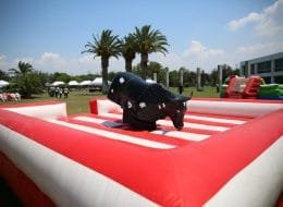 Rodeo Kiralama İzmir