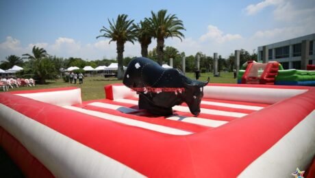 Rodeo Kiralama İzmir