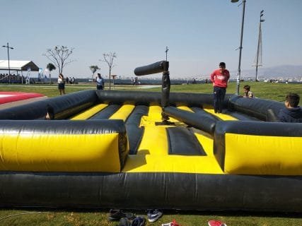 Wipeout Kiralama