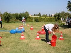 Animatör Kiralama İzmir