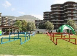 Survivor Temalı Doğum Günü Organizasyonu