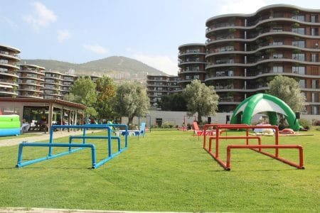 Survivor Temalı Doğum Günü Organizasyonu