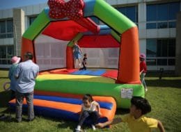 Papyonlu Zıpzıp Kiralama