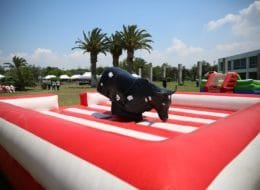 Şişme Rodeo Kiralama