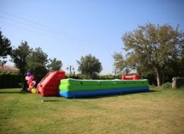 Canlı Langırt Kiralama