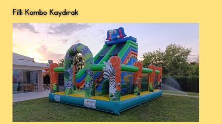 Filli Kombo Kaydırak Kiralama - Şişme Oyuncak Kiralama İzmir Organizasyon